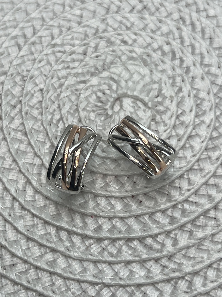 Pendientes de plata