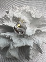 Anillo de plata